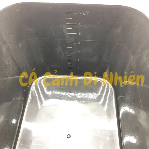 Khay Nhựa 7 Lít Nuôi Cá Ép Cá Con - Thùng Nhựa Trồng Rau 30x22x16cm