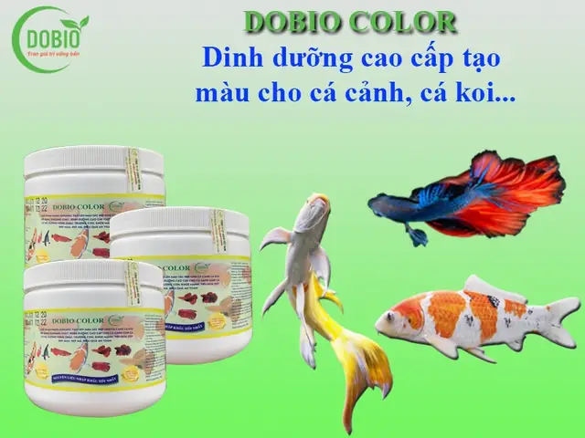 Thuốc Kích Màu Cho Cá Bảy Màu