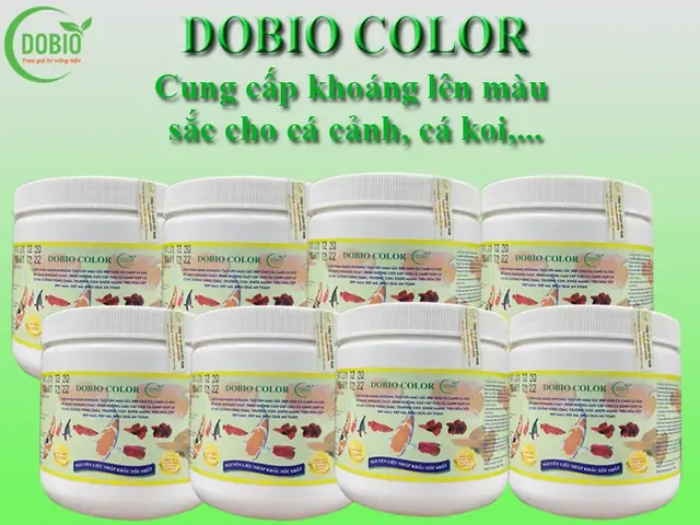 Thuốc Kích Màu Cho Cá Bảy Màu
