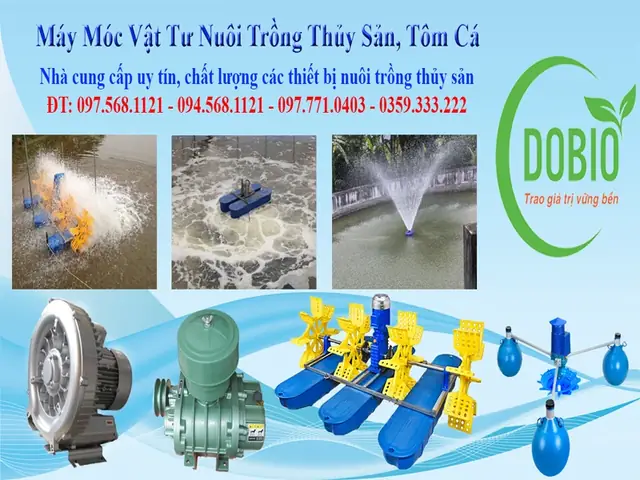 Thuốc Kích Màu Cho Cá Bảy Màu