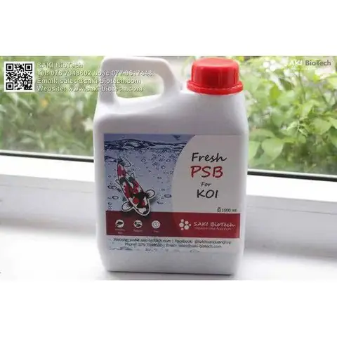 Sinh Psb Cho Hồ Cá Koi Ngoài Trời