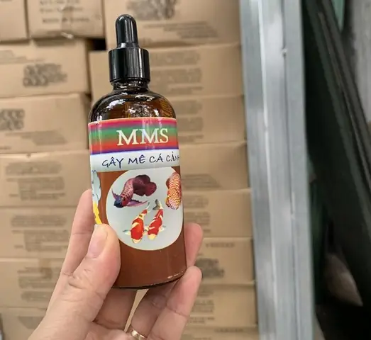 Giới Thiệu Về Thuốc Mê Cá Koi