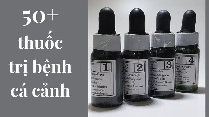 Có Nên Kết Hợp Thuốc Tím Với Các Phương Pháp Xử Lý Ao Khác Không?