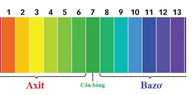 Tất Tần Tật Về Thuốc Tím