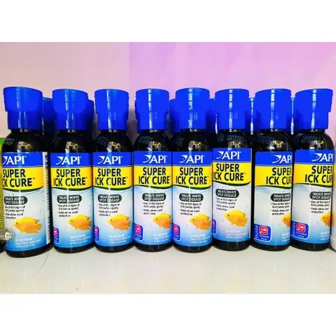 Hướng Dẫn Sử Dụng Thuốc Trị Bệnh Cá Hiệu Quả Và An Toàn