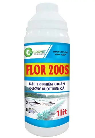 Hướng Dẫn Toàn Tập: Cách Điều Trị & Phòng Ngừa Bệnh Đường Ruột Cho Cá La Hán Hiệu Quả