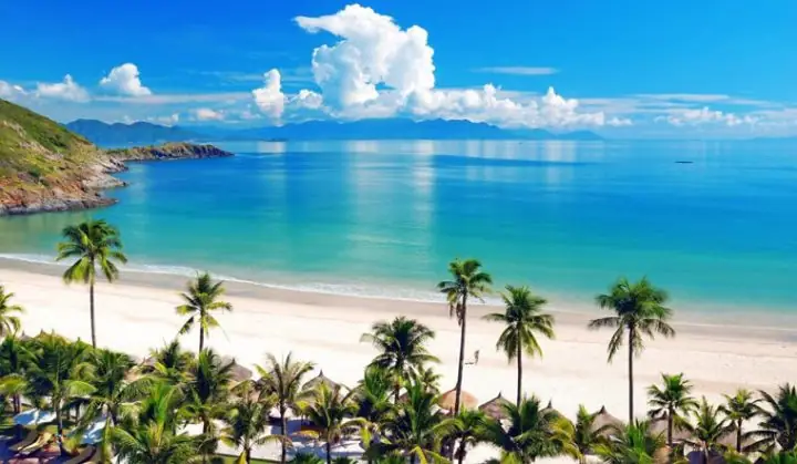 Top 10 Tiệm Cá Cảnh Nha Trang Chất Lượng Nhất Dành Cho Người Mới Bắt Đầu