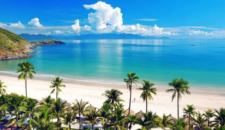 Khám Phá Nhu Cầu Tìm Kiếm Tiệm Cá Cảnh Tại Nha Trang Khám Phá Nhu Cầu Tìm Kiếm Tiệm Cá Cảnh Tại Nha Trang