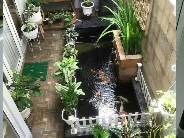 Tiểu Cảnh Bể Cá Trong Nhà: Ý Nghĩa Phong Thủy Và Hướng Dẫn Thiết Kế Tiểu Cảnh Bể Cá Trong Nhà: Ý Nghĩa Phong Thủy Và Hướng Dẫn Thiết Kế