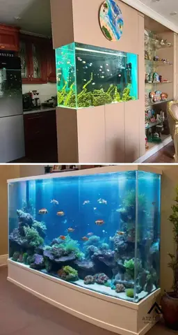 Tiểu Cảnh Hồ Cá Mini Độc Đáo