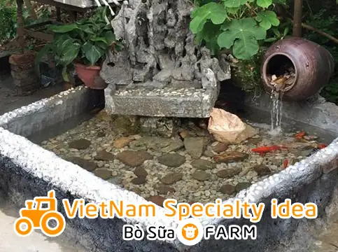 Tiểu Cảnh Hồ Cá Mini: Hướng Dẫn Thiết Kế Và Trang Trí Đẹp Mắt
