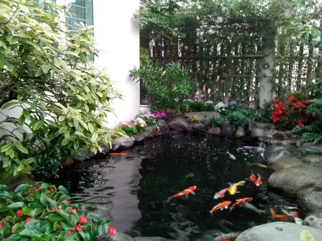 Cách Tính Thể Tích Hồ Cá Hình Lục Giác, Bát Giác Hoặc Hình Dạng Đặc Biệt Cách Tính Thể Tích Hồ Cá Hình Lục Giác, Bát Giác Hoặc Hình Dạng Đặc Biệt