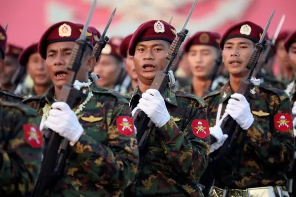 Tốc Độ Tăng Trưởng Của Cá Trắm Cỏ: Yếu Tố Ảnh Hưởng Và Cách Nuôi Hiệu Quả