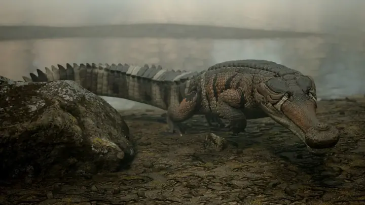 Sarcosuchus Imperator (≈ 9,5 M)
