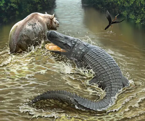 Purussaurus Brasiliensis (≈ 10,3 – 12,5 M)