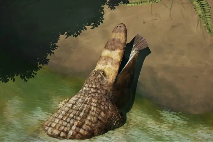 Stomatosuchus Inermis(≈ 10 M)