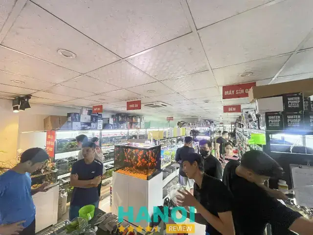 Tiêu Chí Đánh Giá Trại Cá Cảnh Uy Tín Tại Hà Nội