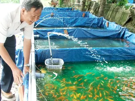 Trại Cá Châu Tống