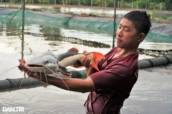 Tổng Quan Về Trại Cá Giống Minh Luận