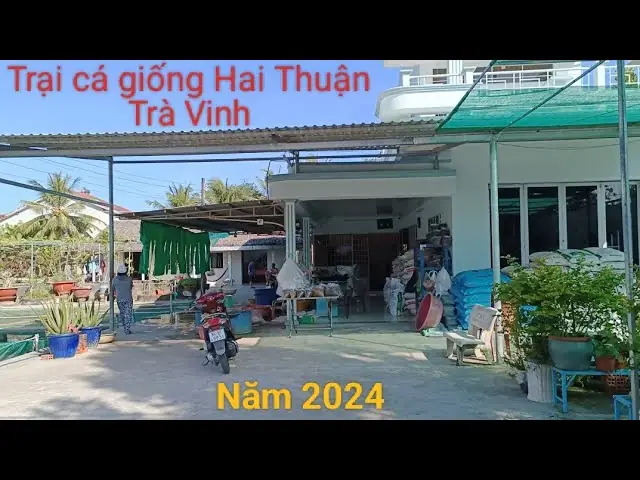 Tổng Hợp Trại Cá Giống Thanh Hóa: Địa Chỉ, Kinh Nghiệm Và Cơ Hội Kinh Doanh