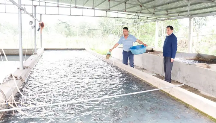 Trại Cá Giống Trung Kiên: Địa Chỉ Uy Tín Cho Người Nuôi Cá Miền Tây