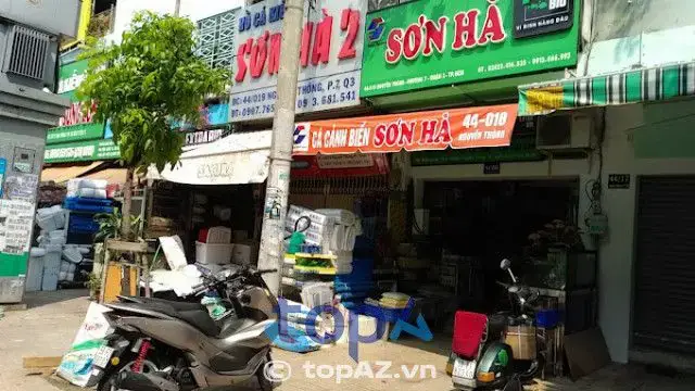 Top 5 Trại Cá Kiểng Diamond Da Uy Tín
