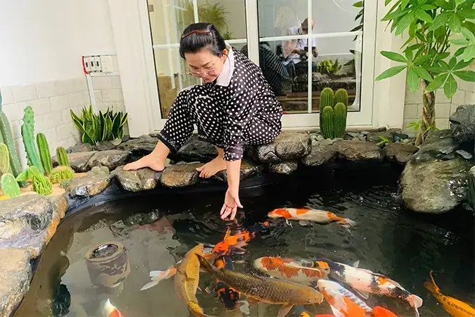 Trại Cá Koi Nha Trang Uy Tín – Nơi Gửi Gắm Niềm Đam Mê