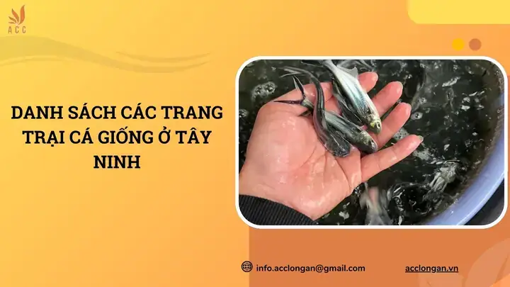 Thông Tin Cơ Bản Về Trại Cá Phát Tài