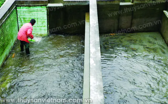 Trạm Nghiên Cứu Cá Nước Lạnh Tây Nguyên