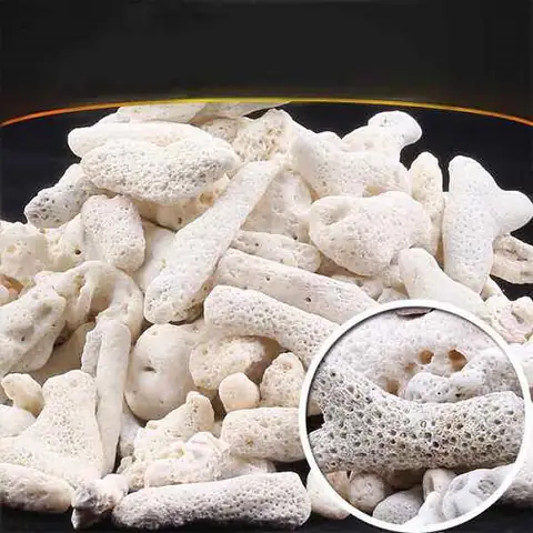 Trang Trí Hồ Cá Bằng San Hô