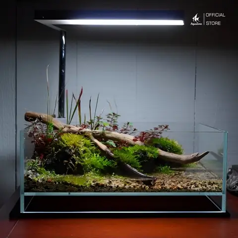Sử Dụng Đèn Led Tạo Điểm Nhấn Cho Bể Cá
