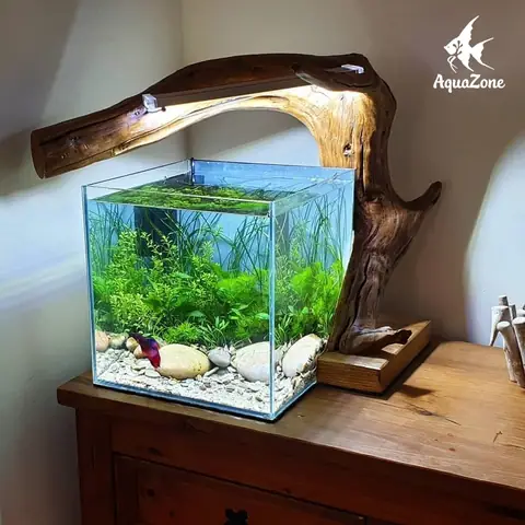 Rải Sỏi Trắng Cho Hồ Cá