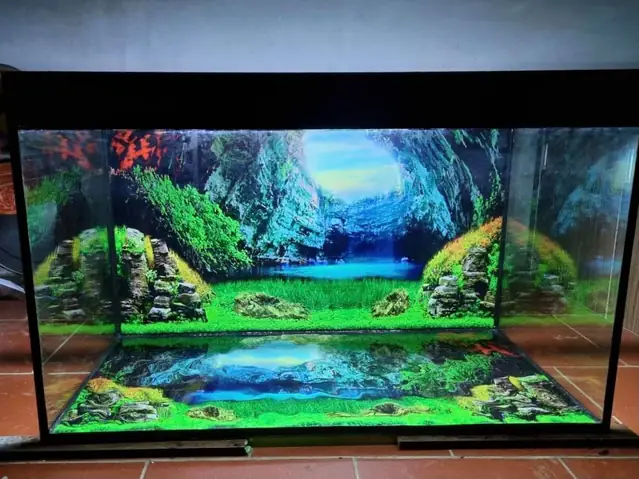 Tranh 3d Dán Đáy Bể Cá Rồng