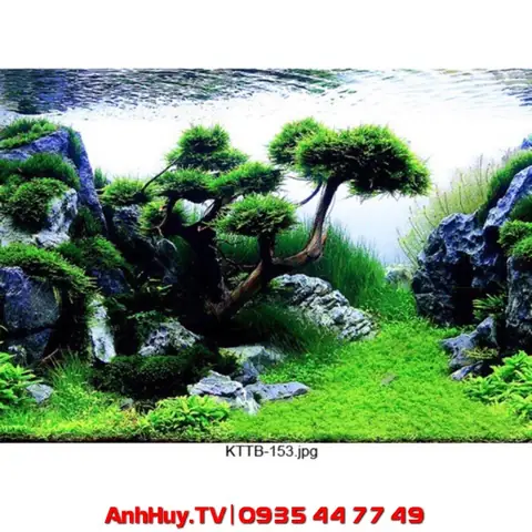 Top 5 Tiệm Tranh 3d Hồ Cá Đà Nẵng Uy Tín, Chất Lượng Cao (cập Nhật 2025)