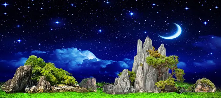 Tranh Hồ Cá Rồng
