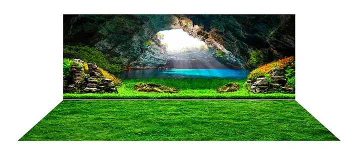 Mẫu Tranh Bộ Lưng Và Đáy
