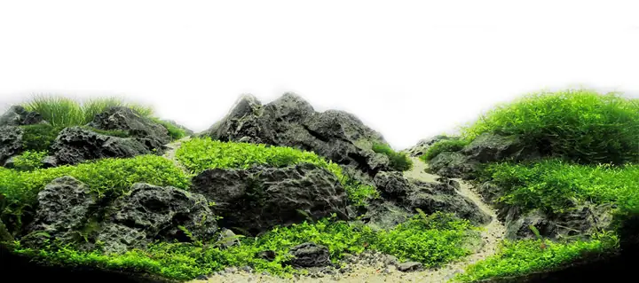 Cho Bối
