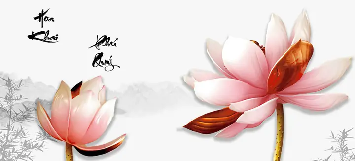Cho Bối