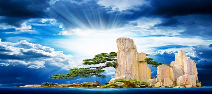 Tranh Hồ Cá Rồng