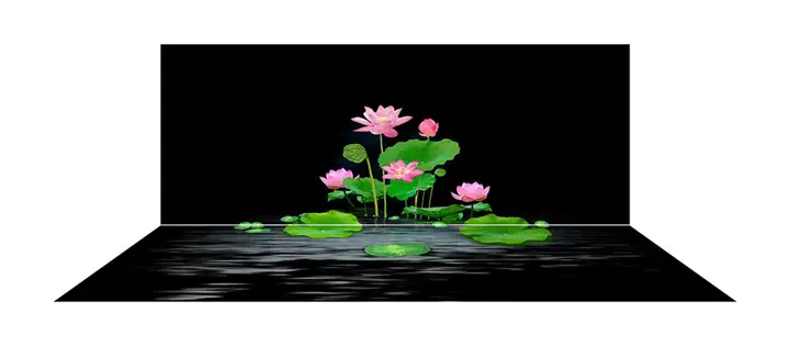 Mẫu Tranh Bộ Lưng Và Đáy