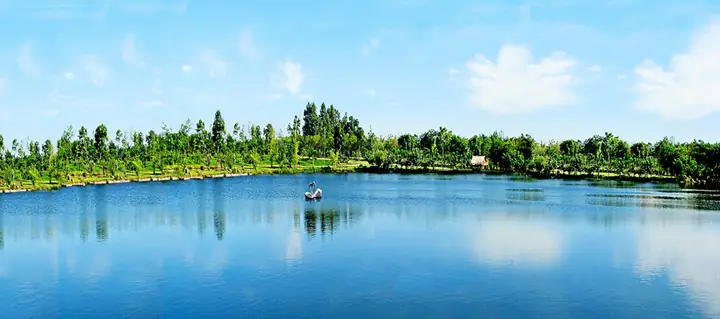 Tranh Hồ Cá Rồng