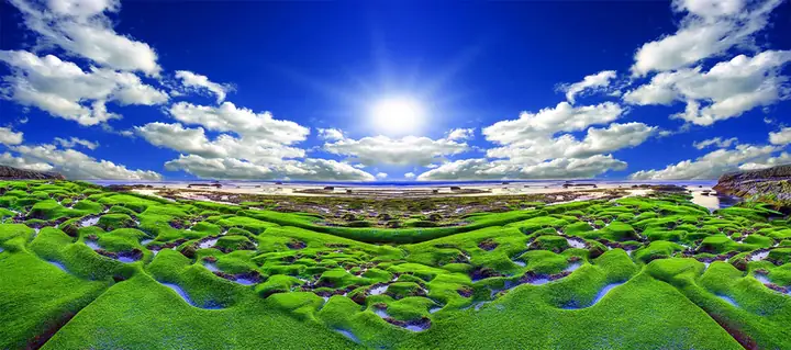Tranh Hồ Cá Rồng