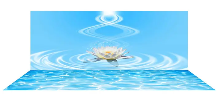 Mẫu Tranh Bộ Lưng Và Đáy