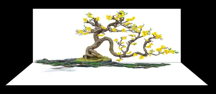 Mẫu Tranh Bộ Lưng Và Đáy