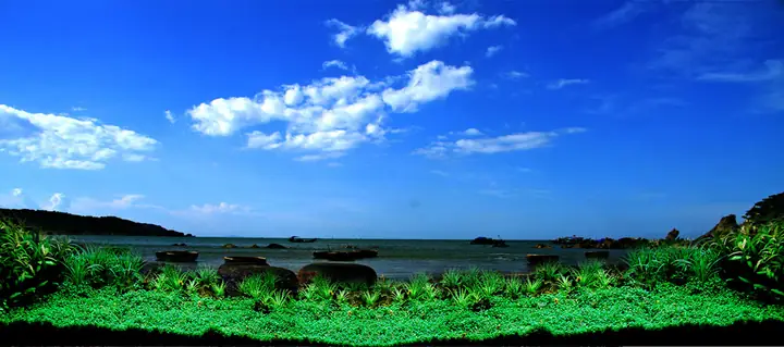 Tranh Hồ Cá Rồng