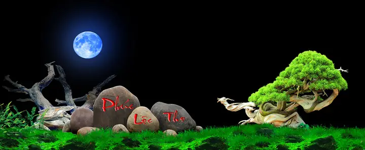 Tranh 3d Cho Cá Rồng Huyết Long