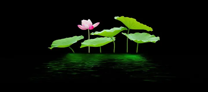 Tranh 3d Cho Cá Rồng Huyết Long