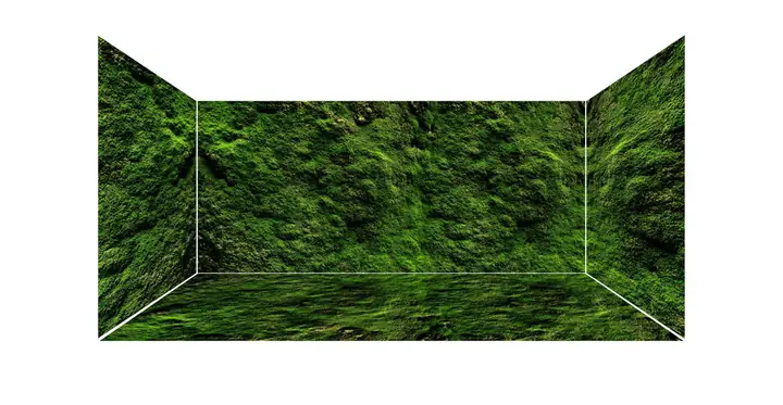 Mẫu Tranh Bộ Lưng Và Đáy