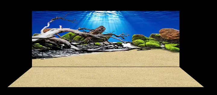 Mẫu Tranh Bộ Lưng Và Đáy