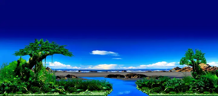 Tranh Hồ Cá Rồng